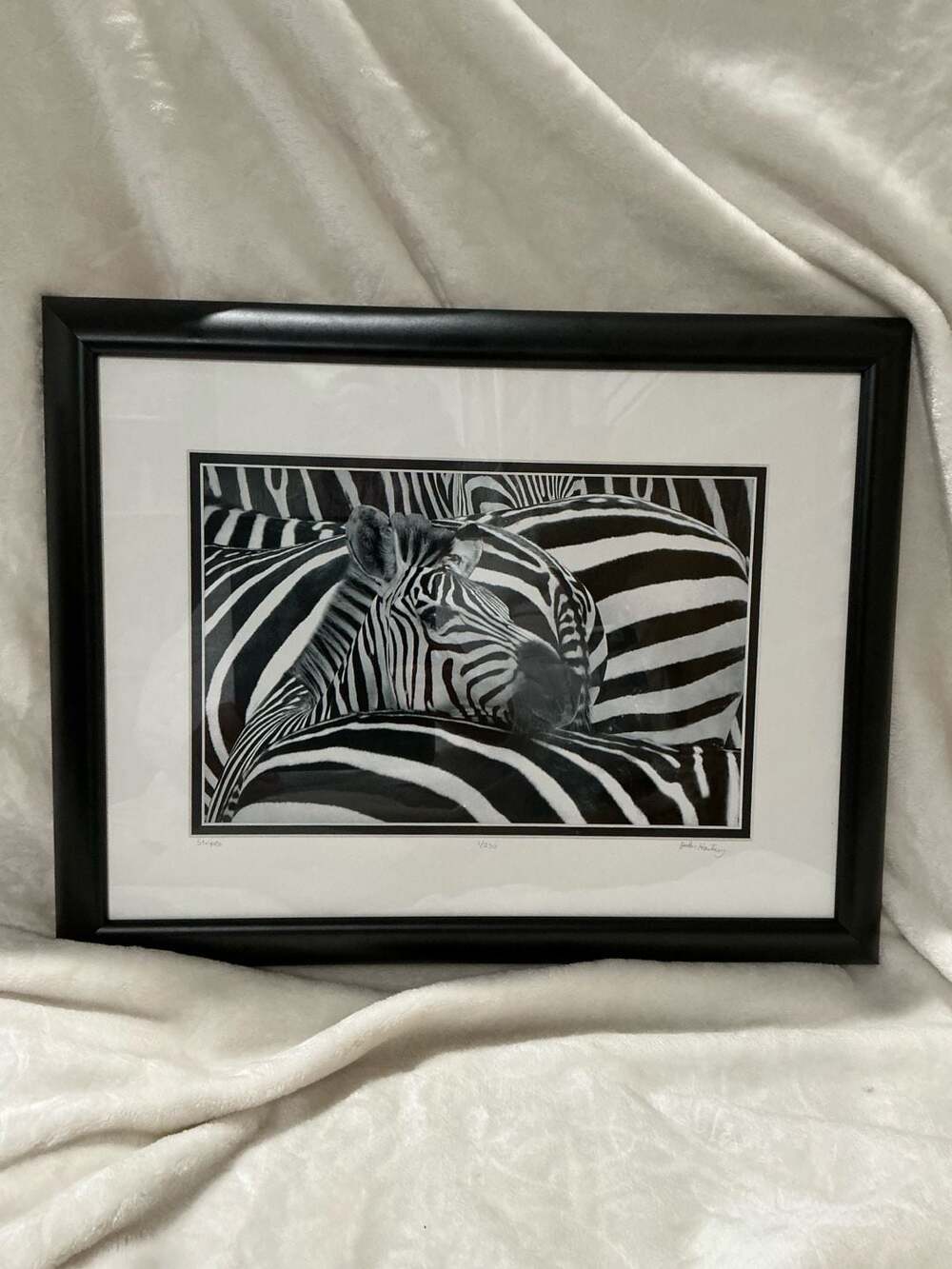 Stripes Zebra Wildlife Art Print by John Hartung Signed Limited Edition 1/250